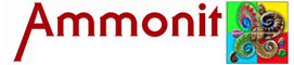 Logo der Firma AMMONIT EDV Consulting GmbH